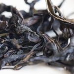 easy breezy 2023 spring yashixiang dancong 2 | BITTERLEAF TEAS