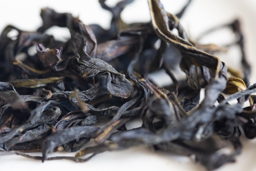 easy breezy 2023 spring yashixiang dancong 2 | BITTERLEAF TEAS