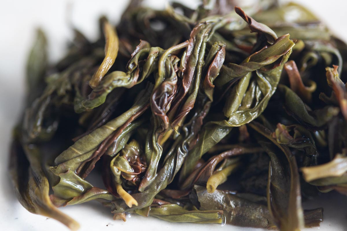 easy breezy 2023 spring yashixiang dancong 5 | BITTERLEAF TEAS