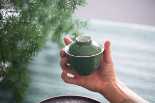 four seasons gaiwan pine 5 | BITTERLEAF TEAS