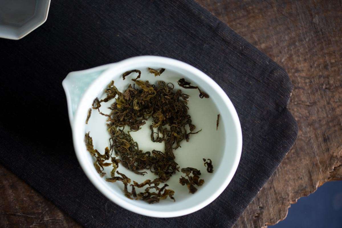 fundamental green tea gongdaobei 5 | BITTERLEAF TEAS