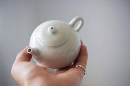 fundamental xishi teapot 4 | BITTERLEAF TEAS