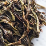 high flyer 2023 spring potou dancong 4 | BITTERLEAF TEAS