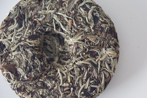 impress forcibly through unexpectedness 2023 wuliang shan white tea 4 | BITTERLEAF TEAS