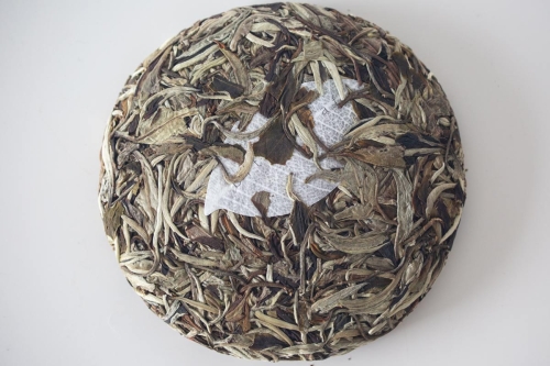 impress forcibly through unexpectedness 2023 wuliang shan white tea 5 | BITTERLEAF TEAS