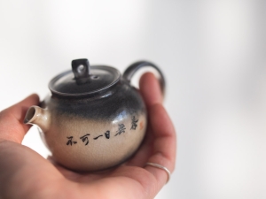 1001 teapot 461 2 | BITTERLEAF TEAS