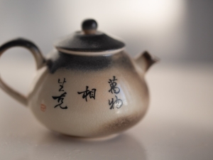 1001 teapot 462 5 | BITTERLEAF TEAS