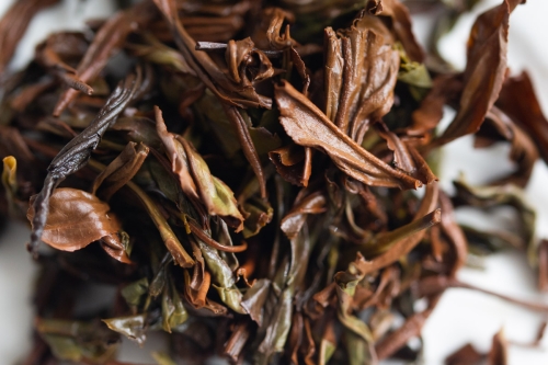 sugary pick me up dancong black tea blend 8 | BITTERLEAF TEAS