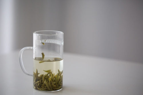 strain it green tea glass mug 3 | BITTERLEAF TEAS