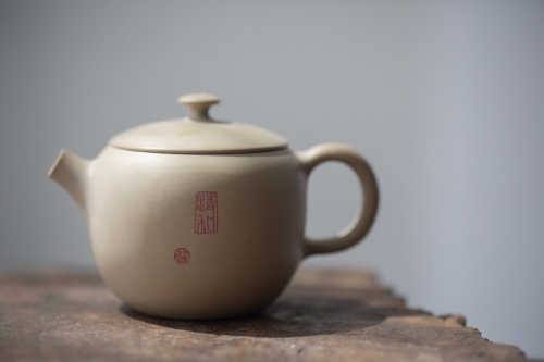 natural habitat jianshui zitao teapot dragon 5 | BITTERLEAF TEAS