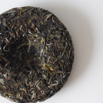 gentle giant 2024 spring pasha raw puer tea 6 | BITTERLEAF TEAS