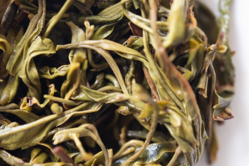 In Bloom 2024 Jingmai Raw Puer - Image 4