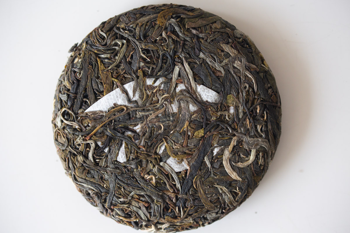 wanderlust 2024 spring daheishan yibang raw puer tea 6 7 | BITTERLEAF TEAS