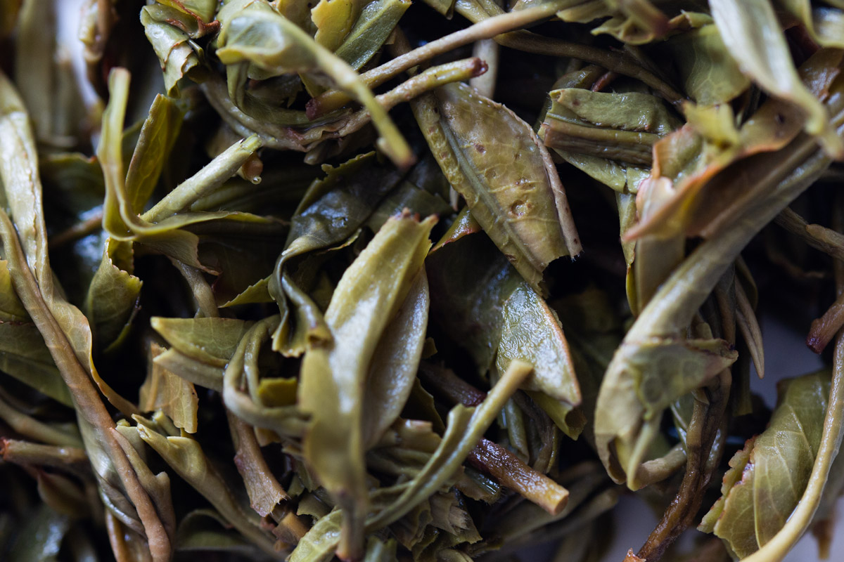 wanderlust 2024 spring daheishan yibang raw puer tea 8 9 | BITTERLEAF TEAS