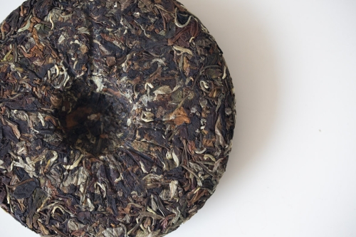 white dragon 2024 spring yiwu white tea 5 | BITTERLEAF TEAS