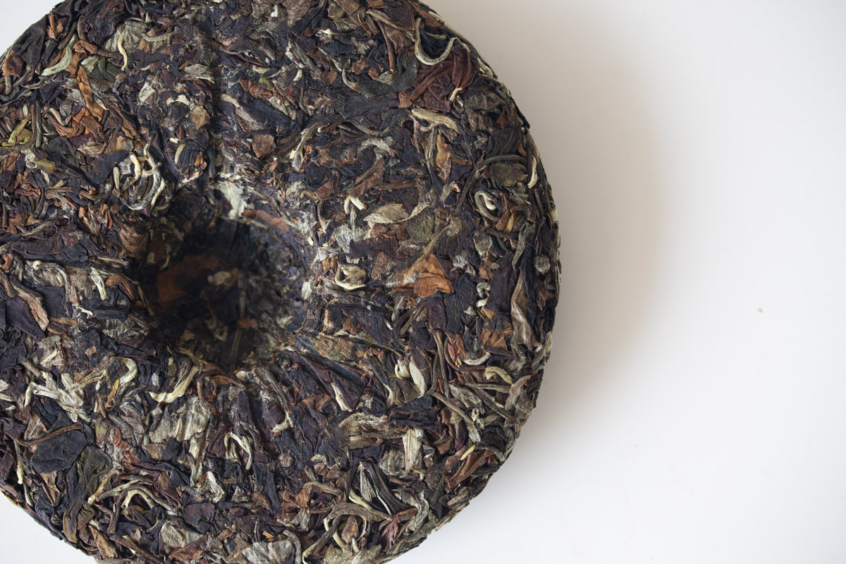 white dragon 2024 spring yiwu white tea 5 | BITTERLEAF TEAS