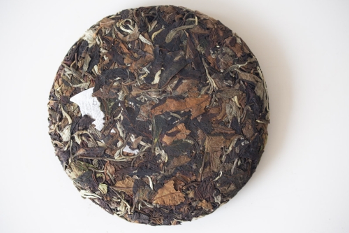 white dragon 2024 spring yiwu white tea 6 | BITTERLEAF TEAS