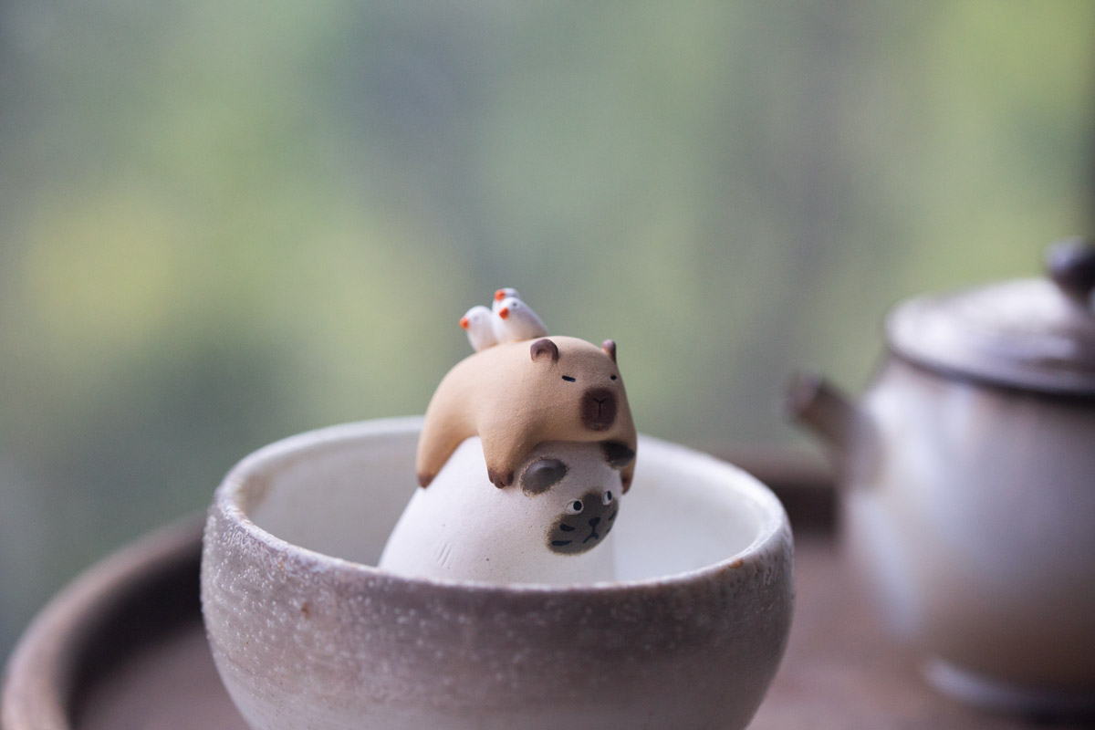 capybara tea meowster tea pet 2 | BITTERLEAF TEAS