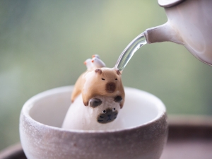 capybara tea meowster tea pet 4 | BITTERLEAF TEAS
