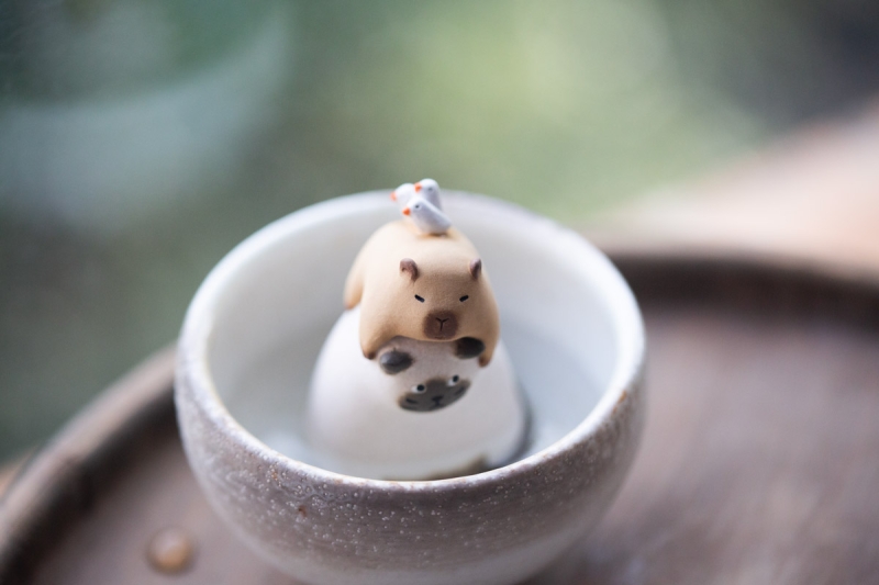 capybara tea meowster tea pet 5 | BITTERLEAF TEAS