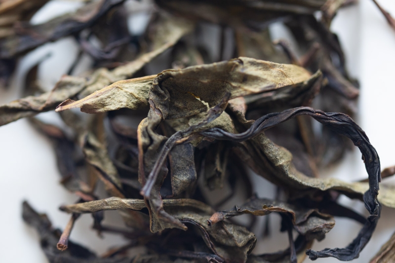 bouquet 2024 spring huangpian dancong oolong 3 | BITTERLEAF TEAS