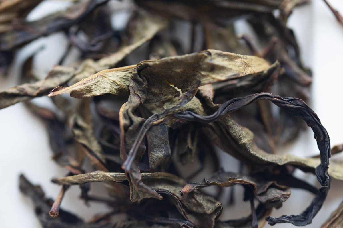 bouquet 2024 spring huangpian dancong oolong 3 | BITTERLEAF TEAS