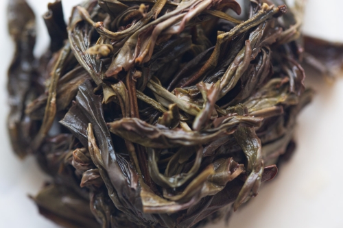 citrus grandis 2024 spring youhua xiang dancong oolong 6 | BITTERLEAF TEAS