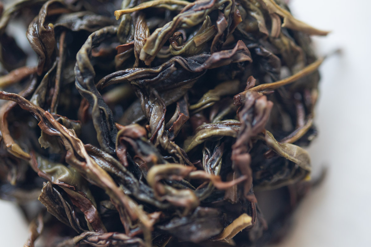 garden of the immortals 2024 spring mitao xiang dancong oolong 6 | BITTERLEAF TEAS