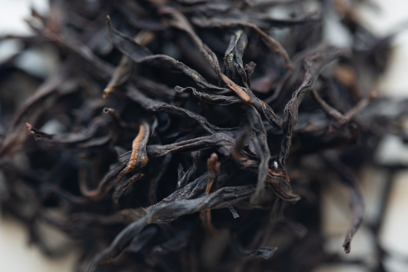 hot stuff 2024 spring zhuye dancong oolong 3 | BITTERLEAF TEAS