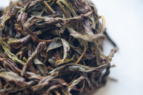 hot stuff 2024 spring zhuye dancong oolong 6 | BITTERLEAF TEAS