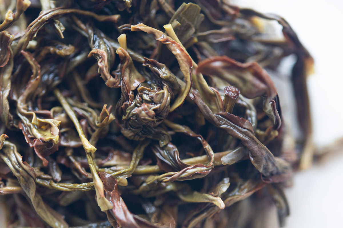 kaching 2024 spring aofuhou dancong oolong 6 | BITTERLEAF TEAS