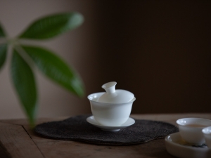 porcelain chaozhou gaiwan 5 | BITTERLEAF TEAS