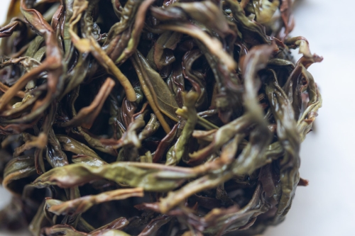 praise bee 2024 spring milan xiang dancong oolong 6 | BITTERLEAF TEAS