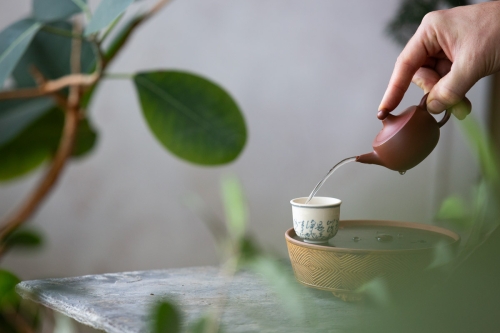 siyuan chaozhou clay teapot 5 | BITTERLEAF TEAS