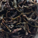 sugar rave 2024 spring huangzhi xiang dancong oolong 6 | BITTERLEAF TEAS