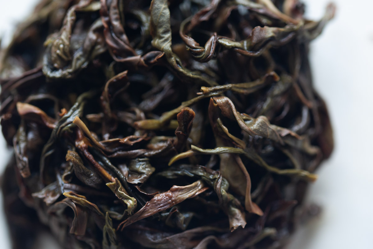 sugar rave 2024 spring huangzhi xiang dancong oolong 6 | BITTERLEAF TEAS