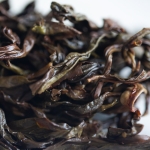 sugar rave 2024 spring huangzhi xiang dancong oolong 7 | BITTERLEAF TEAS