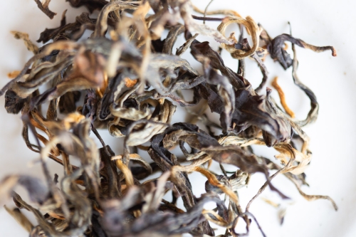 Era of Good Feelings 2024 Spring Simao Organic Black Tea - Image 3