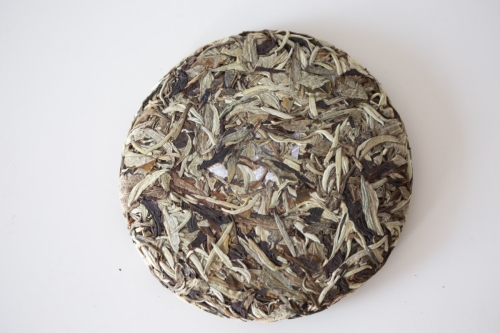 imprsess forcibly through unexpectedness 2024 spring wuliang shan white tea 6 | BITTERLEAF TEAS