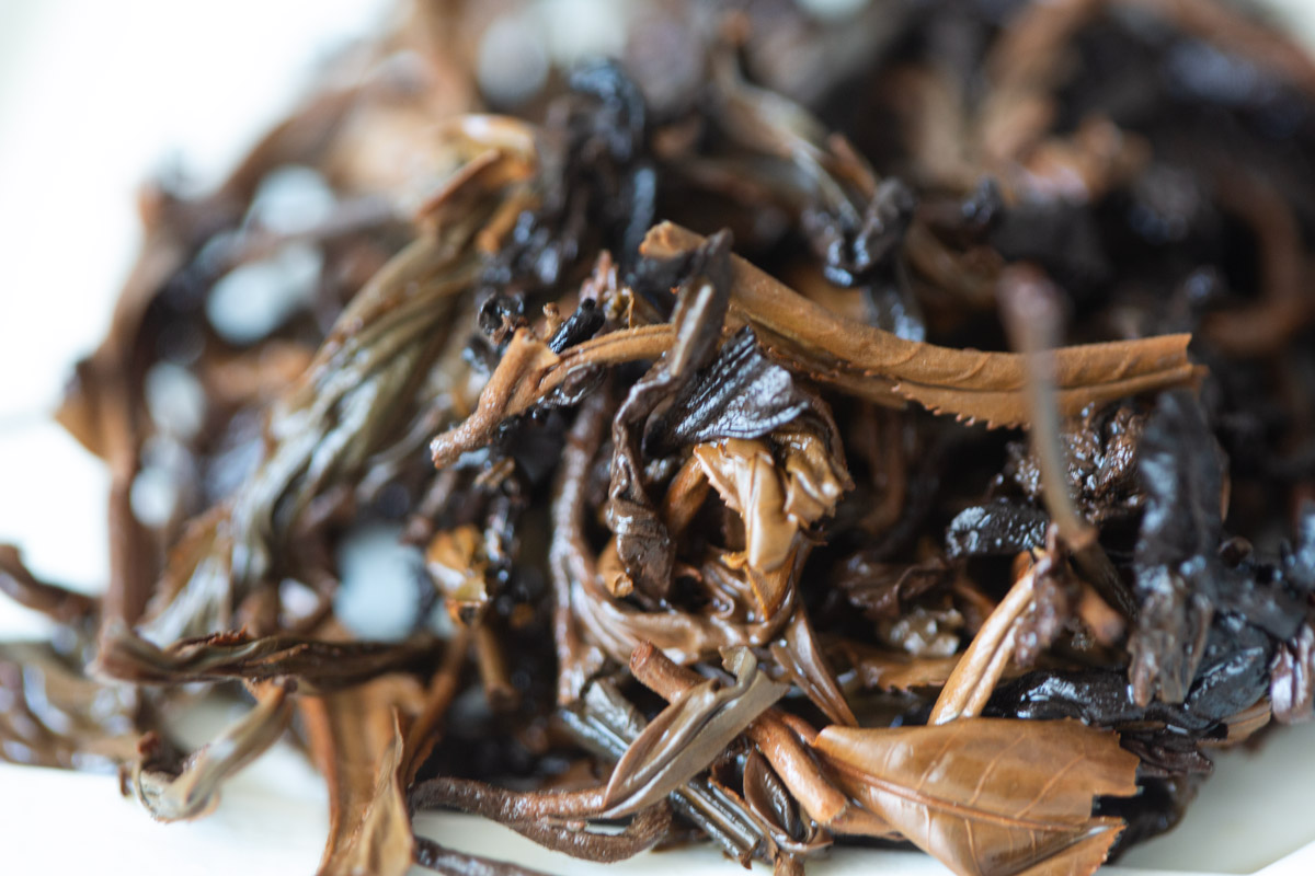 body sou 2024 ripe puer black tea blend 10 | BITTERLEAF TEAS