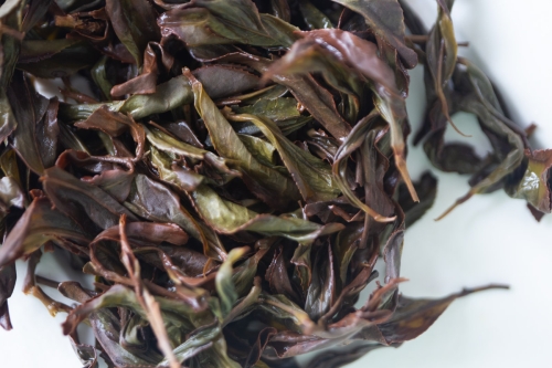 no mountain higher 2024 spring simao gaoshan oolong tea 3 | BITTERLEAF TEAS