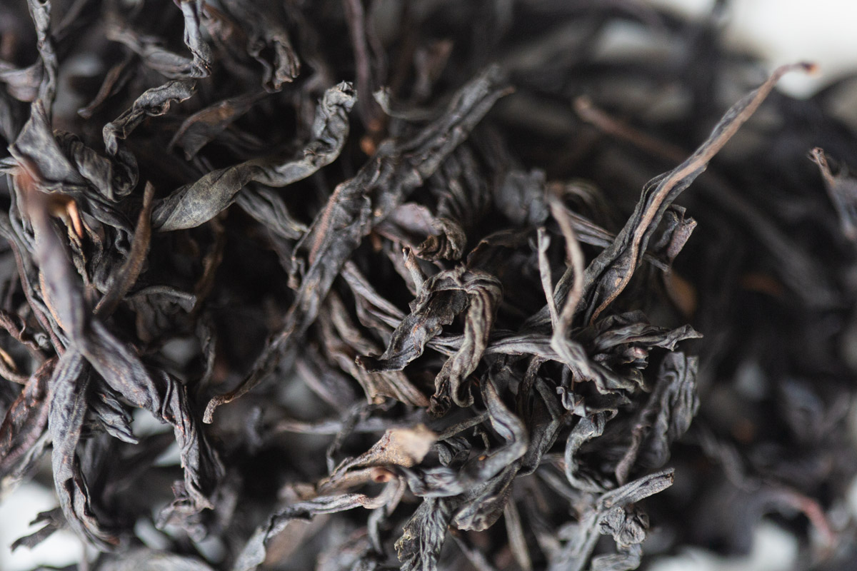 pioneer 2024 spring tongmuguan zhengshan xiaozhong smoked black tea 5 | BITTERLEAF TEAS