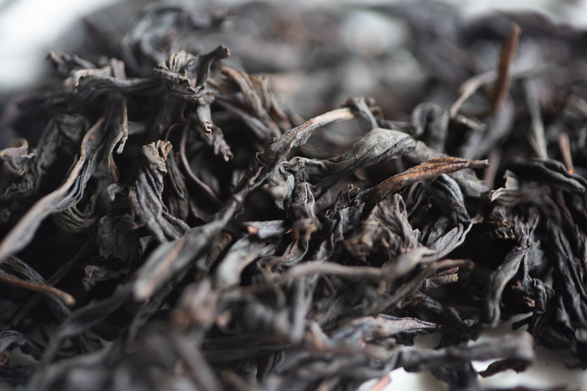 pioneer 2024 spring tongmuguan zhengshan xiaozhong smoked black tea 6 | BITTERLEAF TEAS