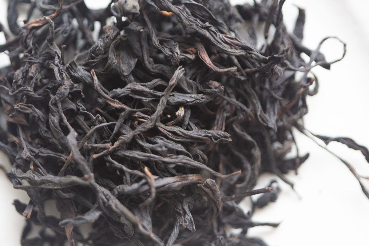 pioneer old bush 2024 spring tongmuguan zhengshan xiaozhong smoked black tea 1 | BITTERLEAF TEAS