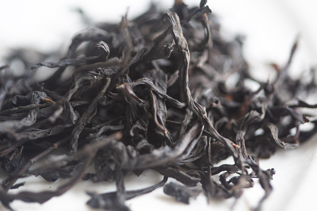 pioneer old bush 2024 spring tongmuguan zhengshan xiaozhong smoked black tea 2 | BITTERLEAF TEAS