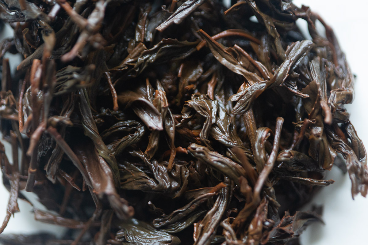 pioneer old bush 2024 spring tongmuguan zhengshan xiaozhong smoked black tea 7 | BITTERLEAF TEAS