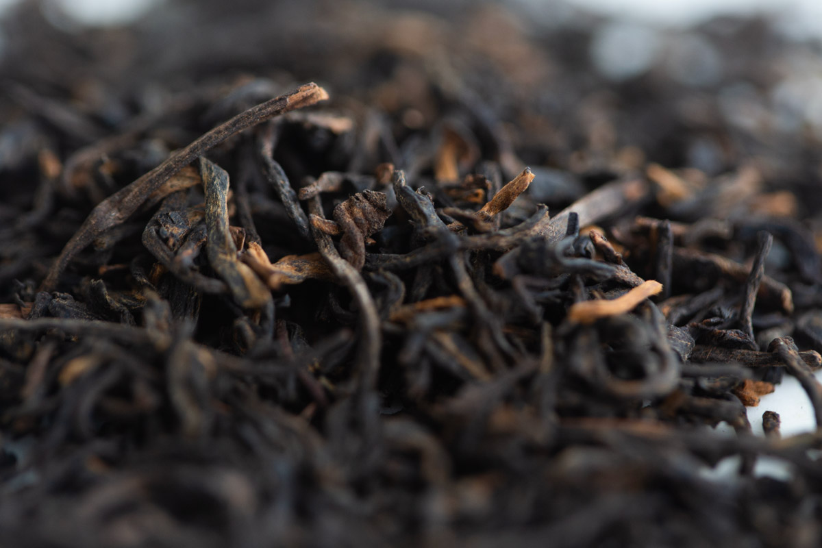 field of dreams 2017 liu bao heicha dark tea 4 | BITTERLEAF TEAS