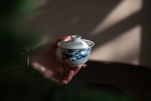 Gilded Qinghua Gaiwan - Bonsai - Image 8