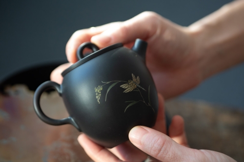 Natural Habitat Jianshui Zitao Teapot - Dragonfly - Image 9