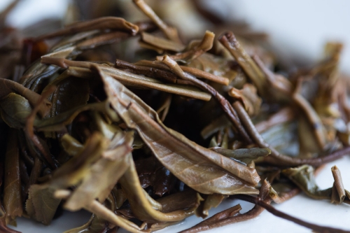 Windfall 2024 Spring Guafengzhai Raw Puer - Image 7